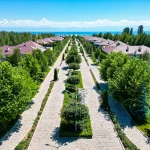 Необычные завтраки: где утром подают не просто яйца и кашу