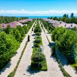 Гостиницы с библиотеками и уютными читальными залами