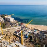 Отели с тематическими номерами для путешествующих с животными
