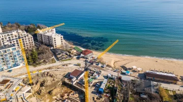 Отели с тематическими номерами для путешествующих с животными
